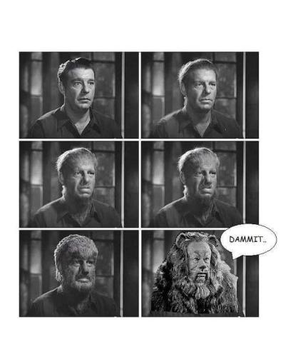 493108350_1155879109906872_7288440737732330629_n