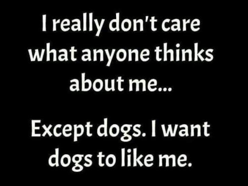 2583d53f4d2c5057980e47a1cc43aad7