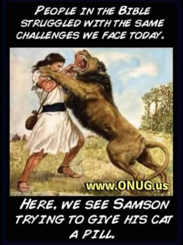 497073084_712550648032265_7326597467904844240_n