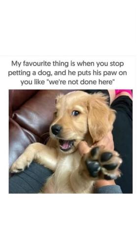 FB_IMG_1746575151469