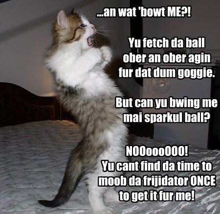 5a9c5553ec4f914567107f61c63e1521