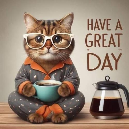 493906032_9988275551236213_7564022984642675383_n