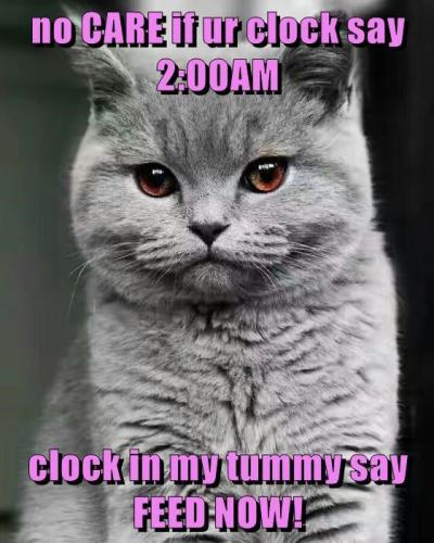 2117913b83153e6b6cac9dfce3e73e7e