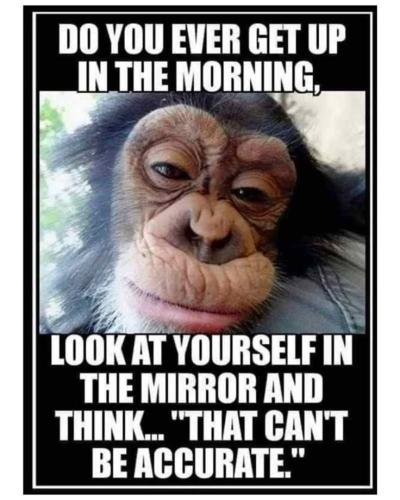 018955a5580b460f3746a409c5bffa3a