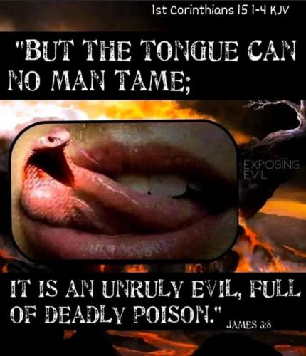 de6cf501-5c17-4bac-b63b-0a69b2d097fb