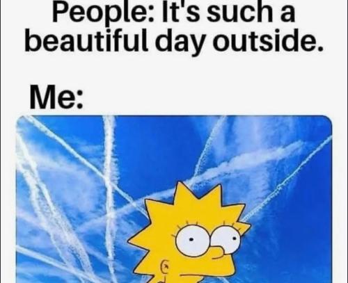 photo_2025-05-01_20-13-07