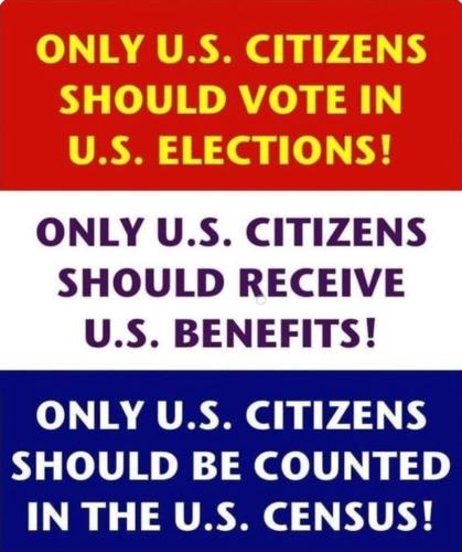 ILLEGAL ALIEN BENNIES 2