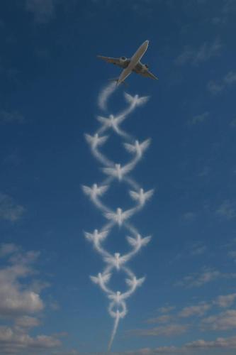 52a46267-c212-4001-8227-4dbe8f21c6a3