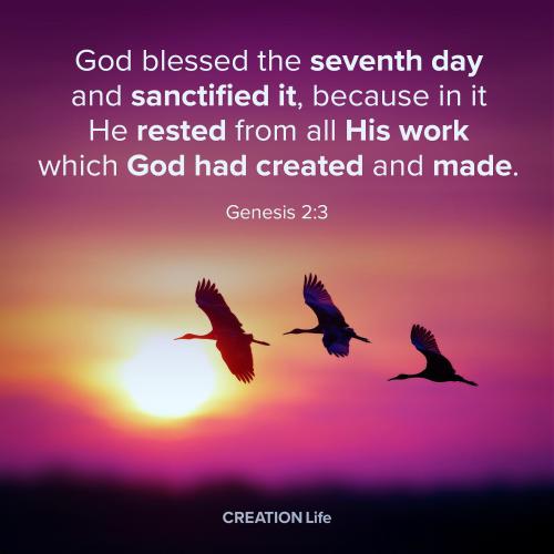 494567664_1084264147072007_4726444084554874477_n