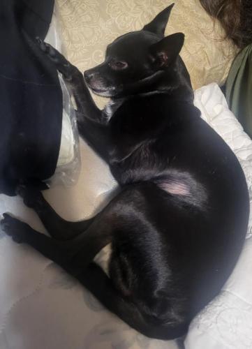 7fd311cd-6a7a-4c04-9019-fe9ca6b36317