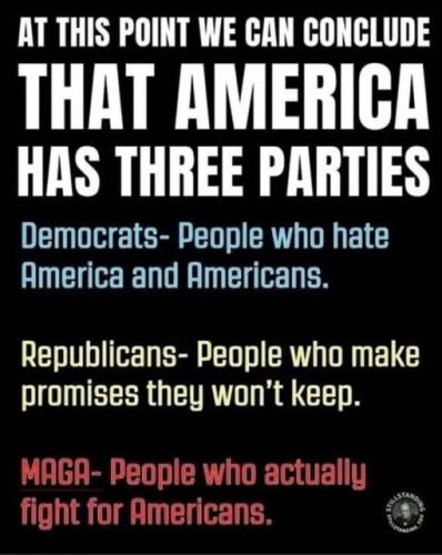 3 Parties