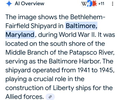 Screenshot_20250513_084513_Google(1)