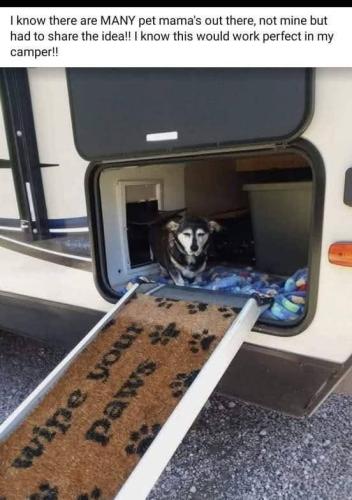 FB_IMG_1746823490629