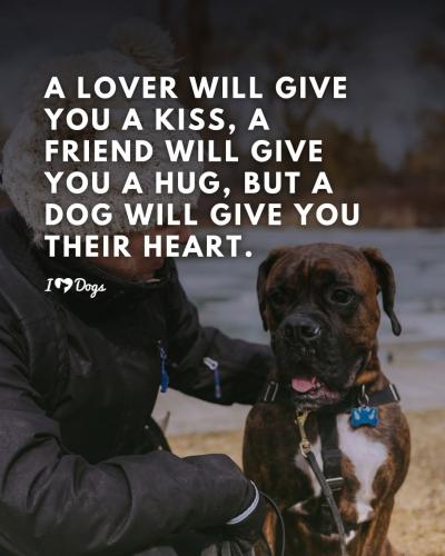 FB_IMG_1747002357177