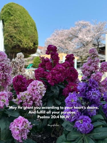 495160317_697676673203400_262524044340345672_n