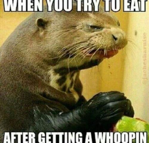 Screenshot_20250511_063625_Gallery