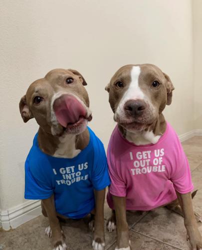 FB_IMG_1748295067828