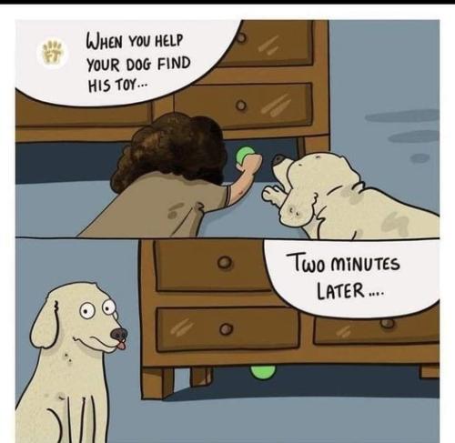 3bc210e8e6e686f8d2df26dffada47fd