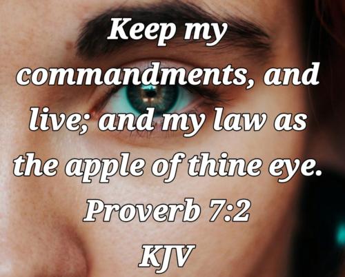 7c38873d-3be2-43a2-939c-1586fe988407