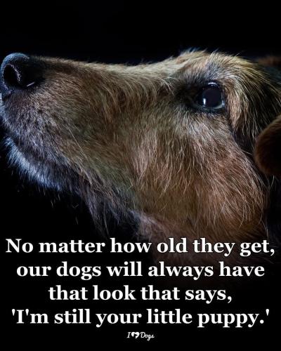 FB_IMG_1747169291035