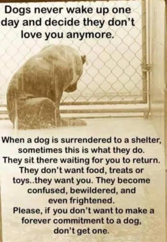 FB_IMG_1742082943111