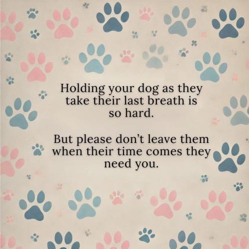 FB_IMG_1741626337230