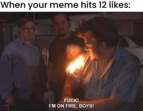 when you meme gets 12 hits