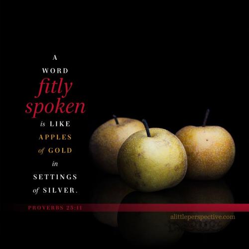 pro-25-11-unsplash-9x