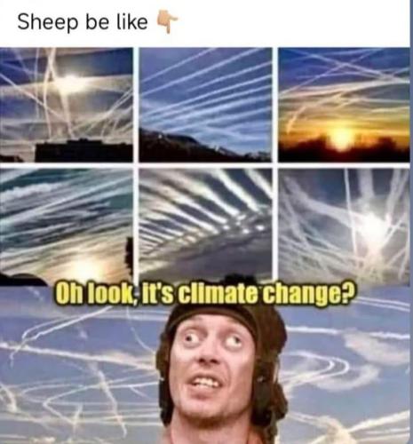 photo_2025-05-01_21-02-28