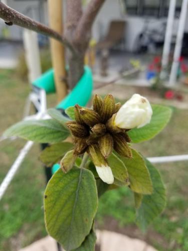 d5541197-a5b7-4b52-ae4d-0c672ddee123