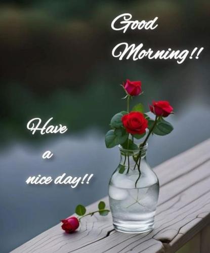 499949346_682711804388078_4514096209623170595_n