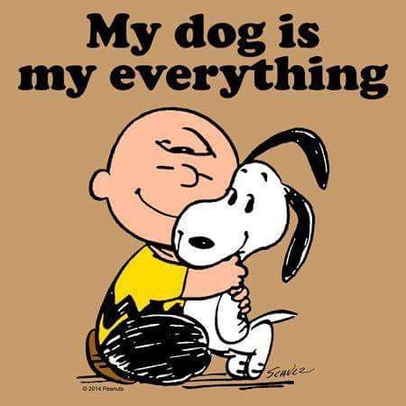 b9221cea3b762ff9768403c45ee724cf