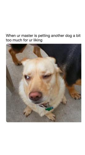 FB_IMG_1748208468315