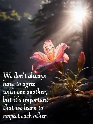 FB_IMG_1748434579813