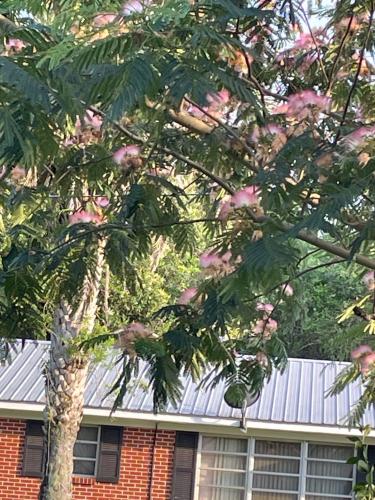 77F4653B-1745-46C8-8D17-926C49C35F09