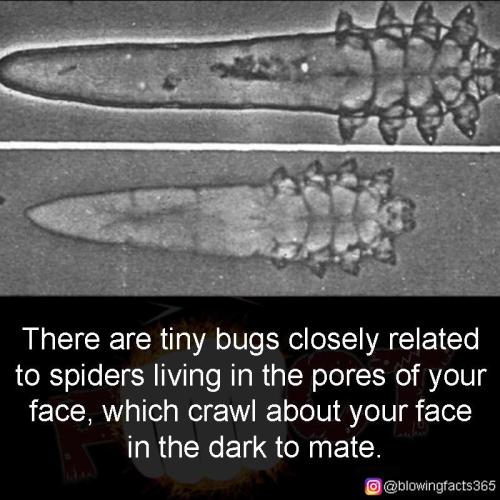 494769861_1216945053435847_1262401736128023288_n