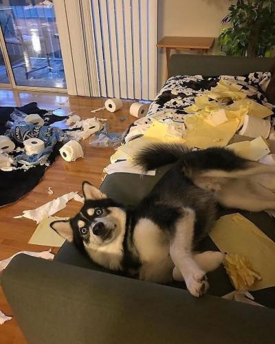 FB_IMG_1747514079701