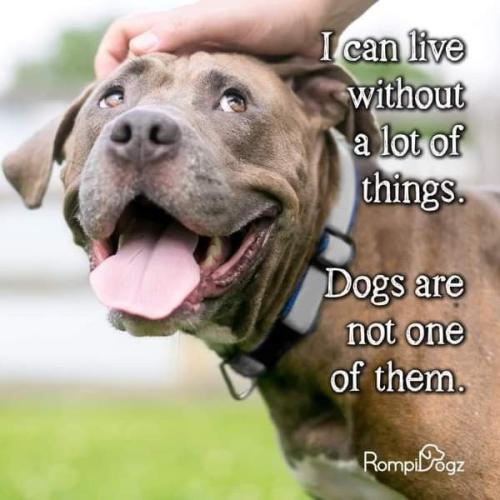 18b2ccb56c14f592b5785397e5424e73