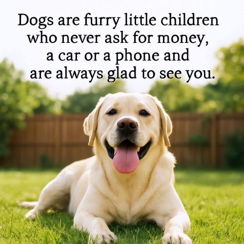 FB_IMG_1747775138944