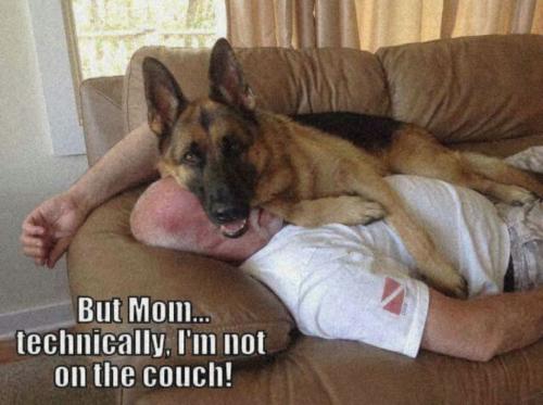 FB_IMG_1747770061500