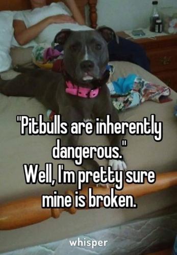 8559abe5c905058ee7c9724cb13879bf