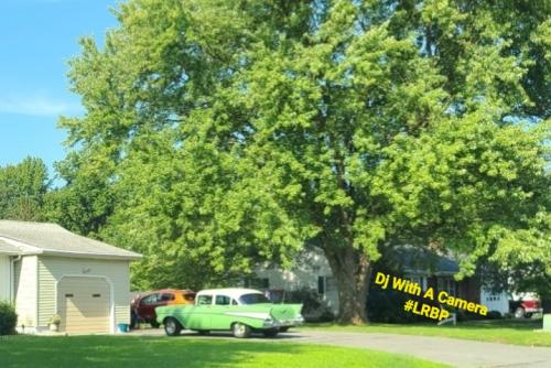 Screenshot_20250527_075414_Gallery