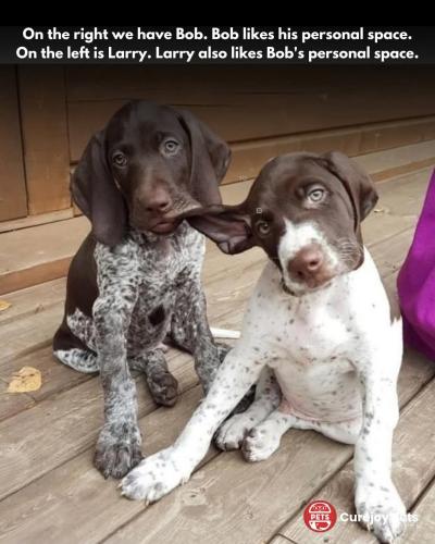 FB_IMG_1746122841433