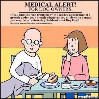 3da5de9ac6f5e09324b79c3d82369f8a