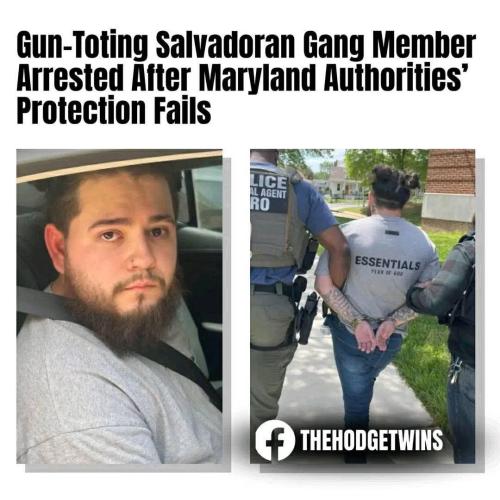 FB_IMG_1746459454833