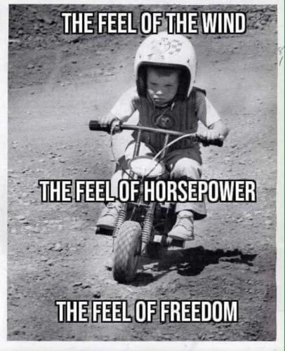 FB_IMG_1746638261568