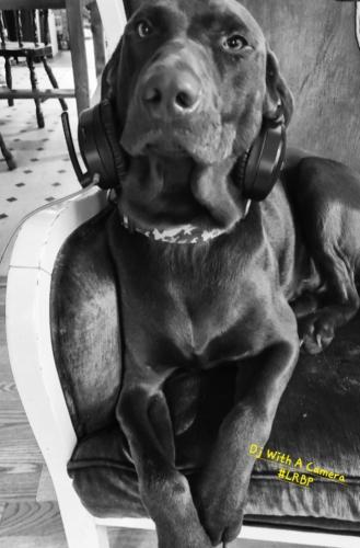 Screenshot_20250518_120848_Gallery