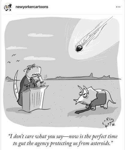 FB_IMG_1746287246562