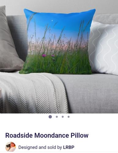 Screenshot_20250504_144658_Brave