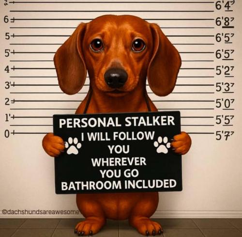 IMG_20250510_114113_023